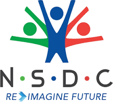 NSDC logo